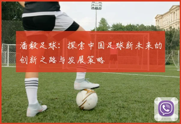 潘毅足球：探索中国足球新未来的创新之路与发展策略